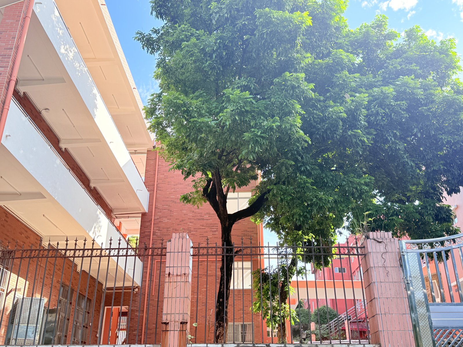 暨附联考天河校区校园建筑
